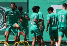 Palmeiras encerra preparação e viaja para enfrentar o Juventude buscando manter liderança do Brasileirão – Nosso Palestra