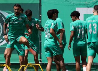 Palmeiras encerra preparação e viaja para enfrentar o Juventude buscando manter liderança do Brasileirão – Nosso Palestra