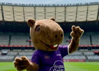 Mineirão lança mascote que estará presentes nos jogos no estádio; veja