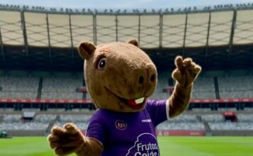 Mineirão lança mascote que estará presentes nos jogos no estádio; veja