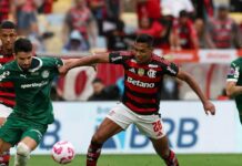Palmeiras e Flamengo vivem sequência decisiva no campeonato em ‘mini Paulistão’ – Nosso Palestra