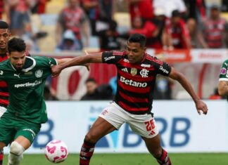 Palmeiras e Flamengo vivem sequência decisiva no campeonato em ‘mini Paulistão’ – Nosso Palestra