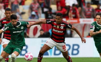 Palmeiras e Flamengo vivem sequência decisiva no campeonato em ‘mini Paulistão’ – Nosso Palestra