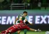 Vitor Roque marca contra os três rivais e Palmeiras atinge nova marca no Brasileirão – Nosso Palestra
