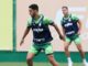 Palmeiras: Figueiredo avança na recuperação após nova cirurgia – Nosso Palestra