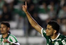 Palmeiras inicia sequência como visitante na reta final do Brasileirão – Nosso Palestra