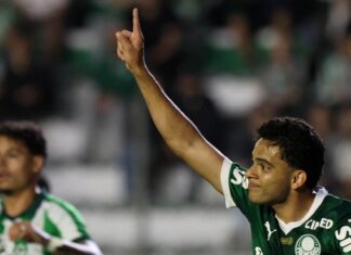 Palmeiras inicia sequência como visitante na reta final do Brasileirão – Nosso Palestra