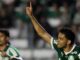 Palmeiras inicia sequência como visitante na reta final do Brasileirão – Nosso Palestra