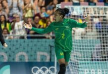 Seleção Brasileira de handebol é convocada para Mundial Feminino – Portal