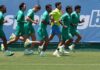 ‘Academia de Futebol: Palmeiras tem muralha invisível formada por diretoria e comissão técnica’ – Nosso Palestra