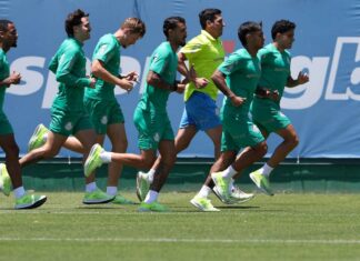 ‘Academia de Futebol: Palmeiras tem muralha invisível formada por diretoria e comissão técnica’ – Nosso Palestra
