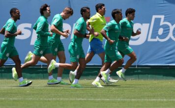 ‘Academia de Futebol: Palmeiras tem muralha invisível formada por diretoria e comissão técnica’ – Nosso Palestra