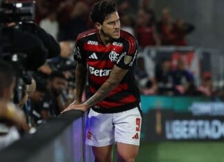 Flamengo divulga boletim médico com ‘boa evolução’ de Pedro e atualiza cenários de Jorginho e Léo Ortiz