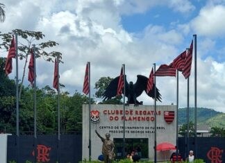 MPRJ recorre de decisão que absolveu réus pelo crime no Ninho do Urubu – Portal