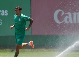 Desfalques do Palmeiras abre espaço para Crias da Academia ganharem chance – Nosso Palestra