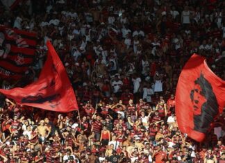 Pesquisa da CBF aponta times com maiores torcidas do Brasil – Portal