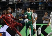 Atuações: Santos 1×0 Palmeiras – Nosso Palestra