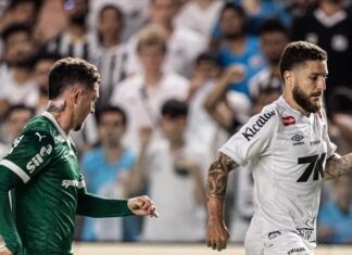 Santos vence Palmeiras nos acréscimos, deixa o Z-4 e tira a liderança do rival – Portal