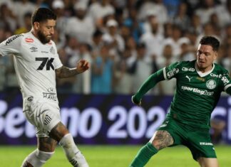 Opinião: ‘Condescendente com CBF, Palmeiras versão ‘mocinho’ perde ponta do Brasileirão – Nosso Palestra