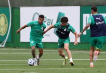 Palmeiras se reapresenta após derrota em clássico e inicia preparação para confronto diante do Vitória – Nosso Palestra