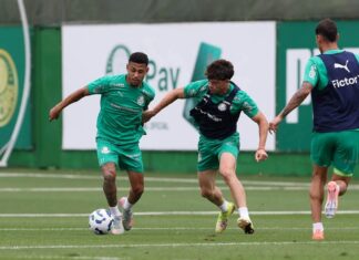 Palmeiras se reapresenta após derrota em clássico e inicia preparação para confronto diante do Vitória – Nosso Palestra