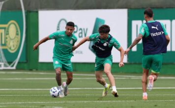 Palmeiras se reapresenta após derrota em clássico e inicia preparação para confronto diante do Vitória – Nosso Palestra