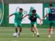 Palmeiras se reapresenta após derrota em clássico e inicia preparação para confronto diante do Vitória – Nosso Palestra