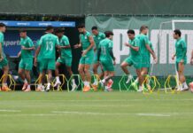 Palmeiras segue preparação para enfrentar o Vitória no Allianz Parque – Nosso Palestra