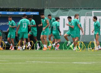 Palmeiras segue preparação para enfrentar o Vitória no Allianz Parque – Nosso Palestra