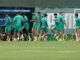 Palmeiras segue preparação para enfrentar o Vitória no Allianz Parque – Nosso Palestra