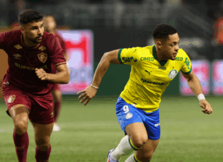 Palmeiras empata com o Fluminense e vê Flamengo se distanciar na ponta do Brasileiro – Portal