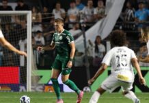 Palmeiras aposta na força como visitante para fechar o Brasileirão fora de casa – Nosso Palestra
