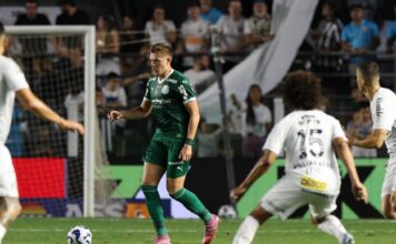 Palmeiras aposta na força como visitante para fechar o Brasileirão fora de casa – Nosso Palestra