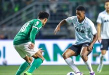 Grêmio x Palmeiras: confira o retrospecto completo e atualizado entre os clubes