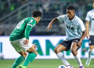 Grêmio x Palmeiras: confira o retrospecto completo e atualizado entre os clubes