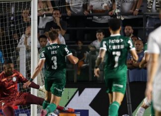 2021 x 2025: Palmeiras revive momento ruim pré-final de Libertadores diante do Flamengo – Nosso Palestra