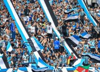 Torcedores do Palmeiras elegem a torcida do Grêmio como a melhor do Brasil