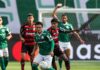Palmeiras perde para o Flamengo e fica com vice da Libertadores – Nosso Palestra