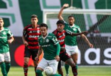 Palmeiras perde para o Flamengo e fica com vice da Libertadores – Nosso Palestra