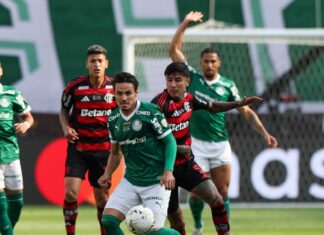 Palmeiras perde para o Flamengo e fica com vice da Libertadores – Nosso Palestra