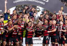 Tetracampeão! Com gol de Danilo, Flamengo vence Palmeiras e conquista a Libertadores – Portal