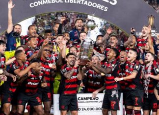 Tetracampeão! Com gol de Danilo, Flamengo vence Palmeiras e conquista a Libertadores – Portal