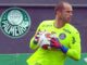 Marcelo Lomba pode fazer seu último jogo com a camisa do Palmeiras; entenda – Nosso Palestra