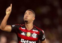 É campeão! Flamengo vence Ceará e conquista o Brasileirão pela nona vez – Portal