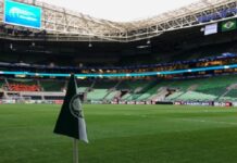 Palmeiras: WTorre inicia troca do gramado do Allianz Parque; veja programação – Nosso Palestra