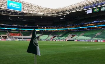 Palmeiras: WTorre inicia troca do gramado do Allianz Parque; veja programação – Nosso Palestra