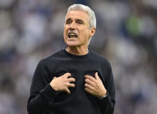 Grêmio anuncia Luis Castro, ex-Botafogo, para vaga de Mano Menezes