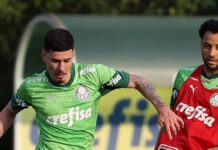 Grêmio Novorizontino anuncia permanência de Rômulo, do Palmeiras, para temporada 2026 – Nosso Palestra