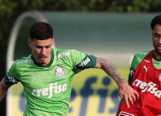 Grêmio Novorizontino anuncia permanência de Rômulo, do Palmeiras, para temporada 2026 – Nosso Palestra