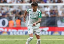 Perto de assinar novo contrato, Larson é principal aposta do Palmeiras para 2026 – Nosso Palestra